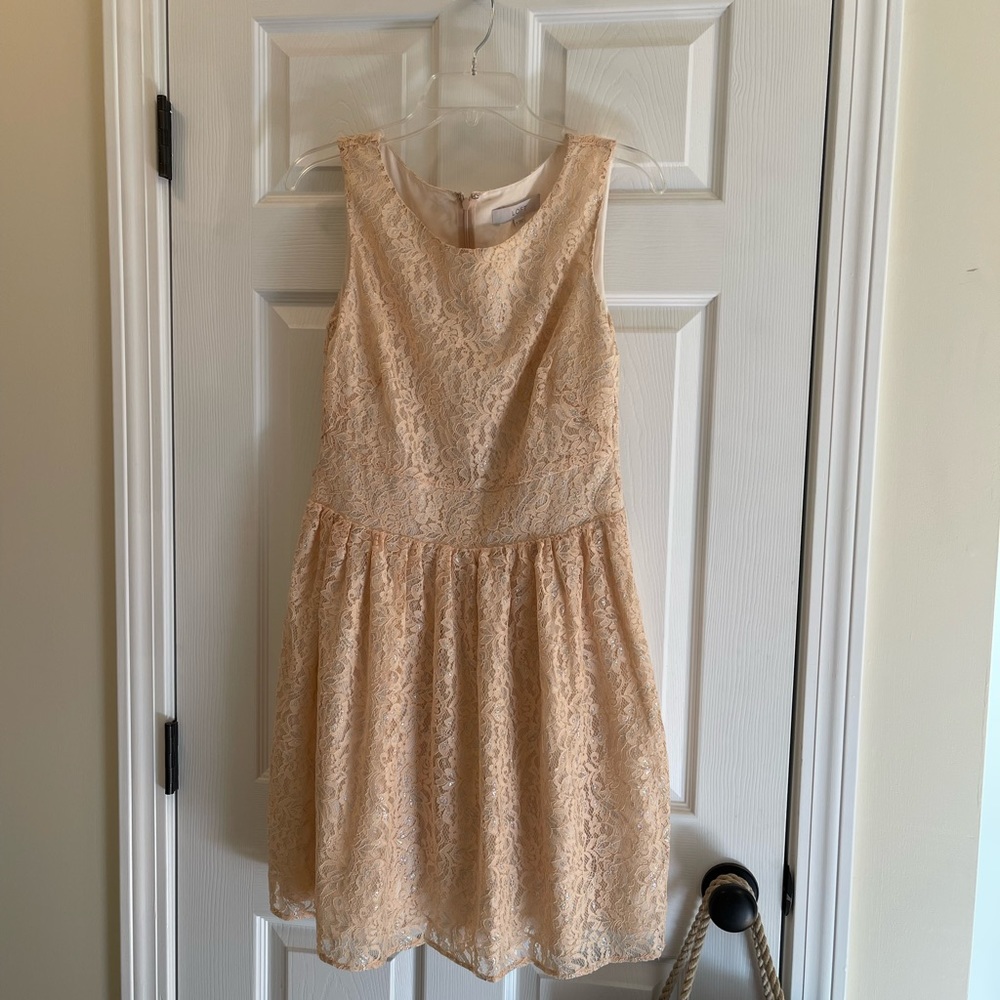 Loft size 6 peach and silver lace dress